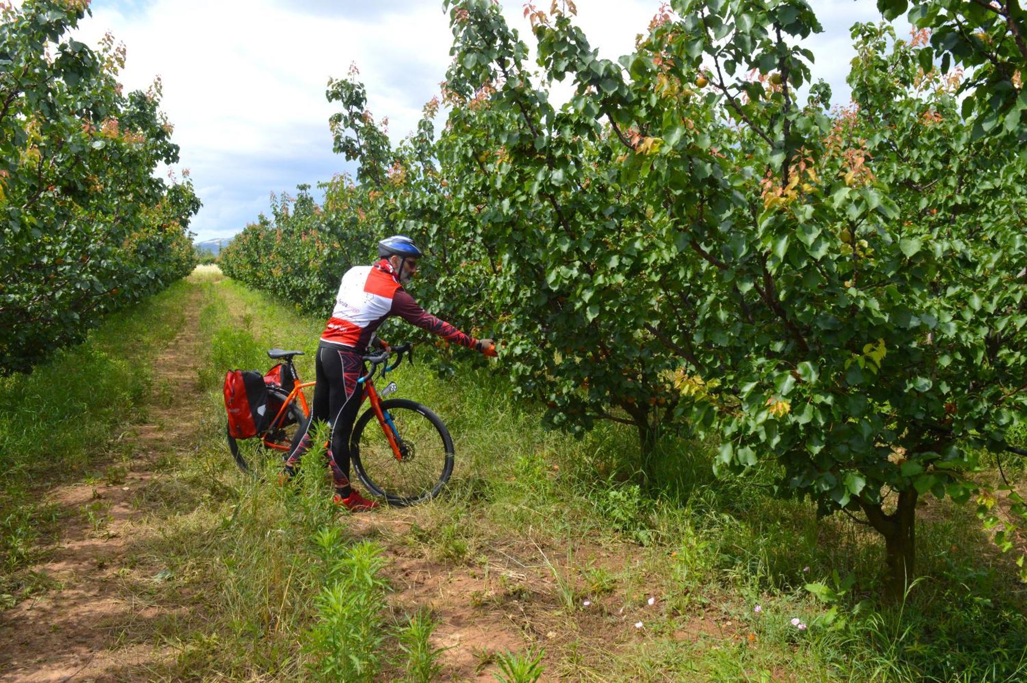 Azienda Agrituristica Il Pago نوفا سيري مارينا المظهر الخارجي الصورة