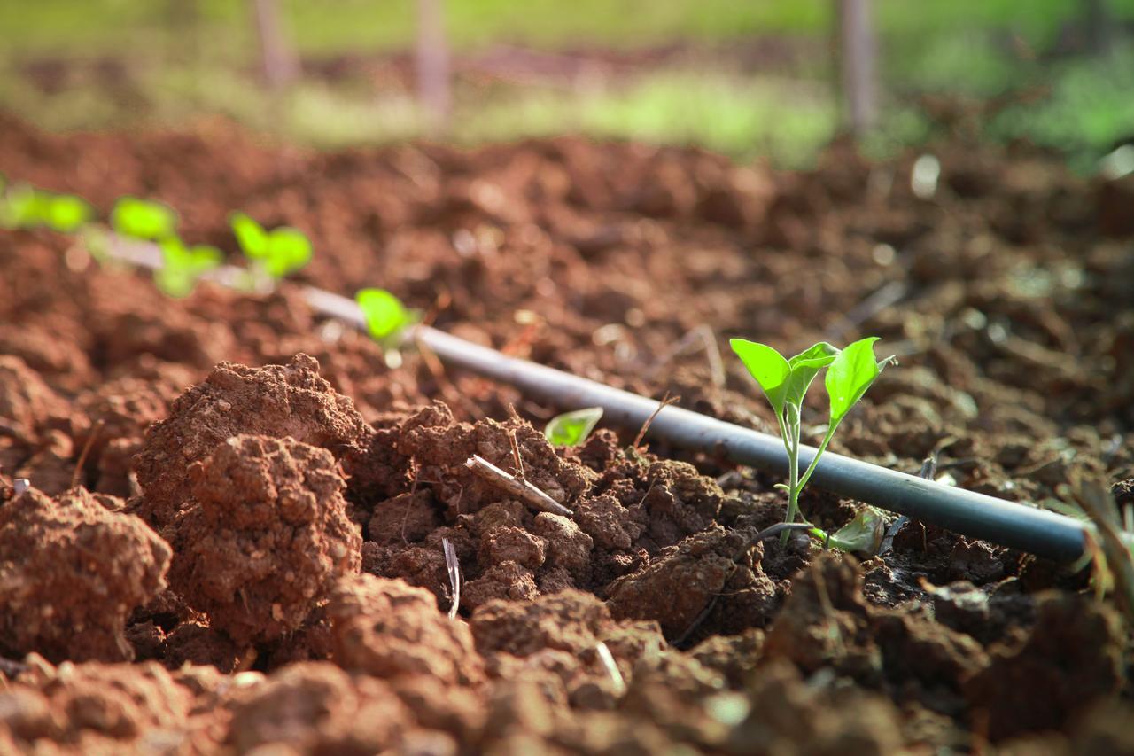 Azienda Agrituristica Il Pago نوفا سيري مارينا المظهر الخارجي الصورة
