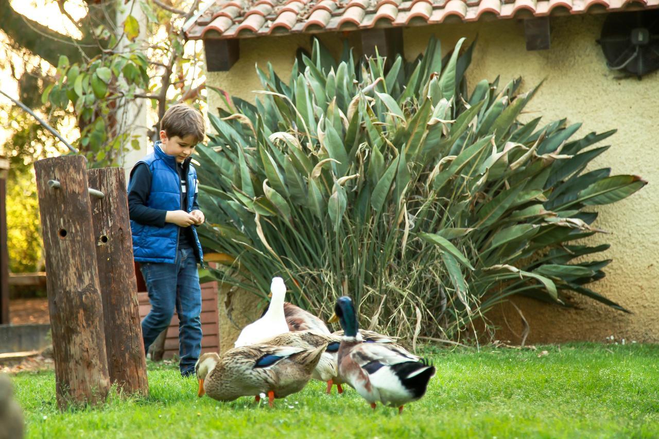 Azienda Agrituristica Il Pago نوفا سيري مارينا المظهر الخارجي الصورة